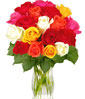 Rose Delivery Thailand